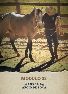 mod-2.webp